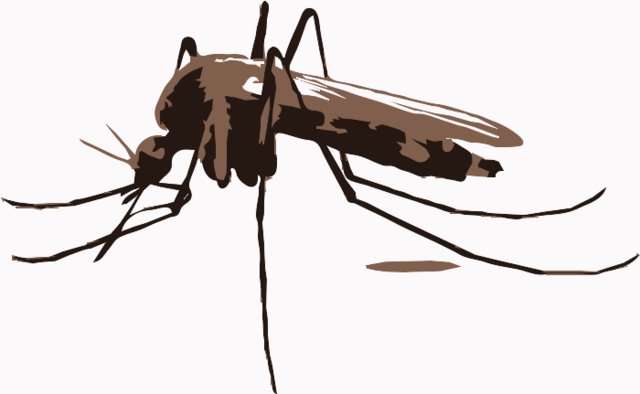 Stencil of Mosquito