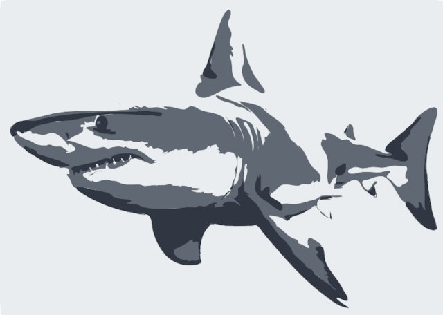 shark stencil