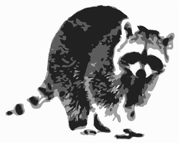 raccoon side silhouette