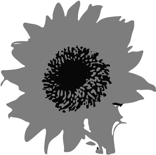 Stencil of Sunflower in Colors