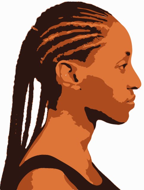 Stencil of Cornrows