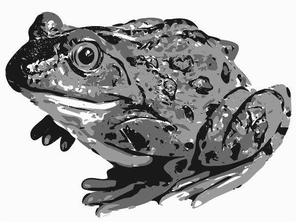 Stencil of Frog