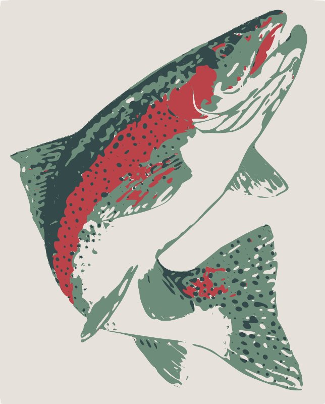 Stencil of Rainbow Trout