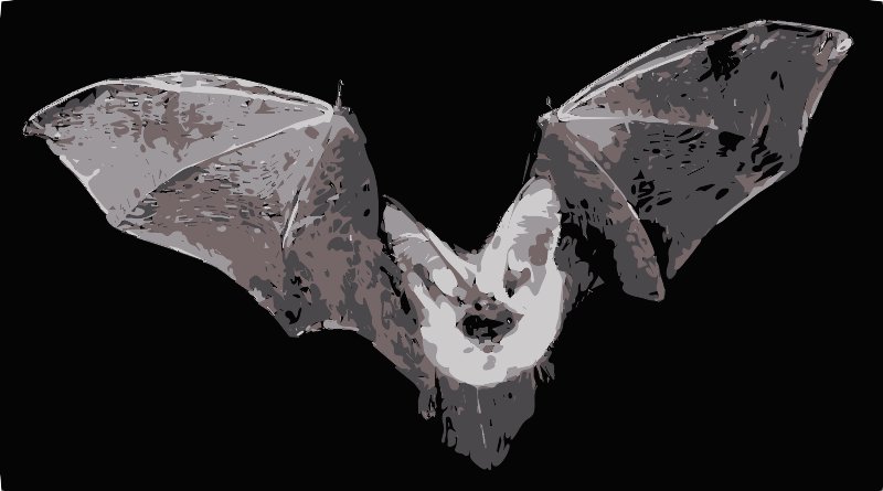 Stencil of Bat